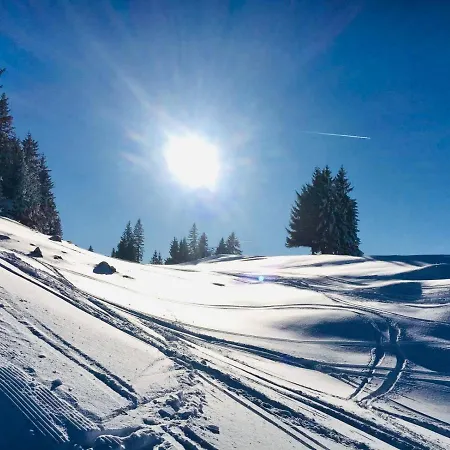 Lägenhet 3 Tannen Rußbach am Paß Gschütt