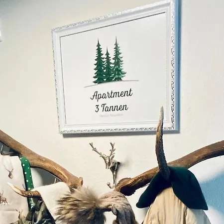 3 Tannen Апартаменты Русбах-ам-Пас-Гшютт