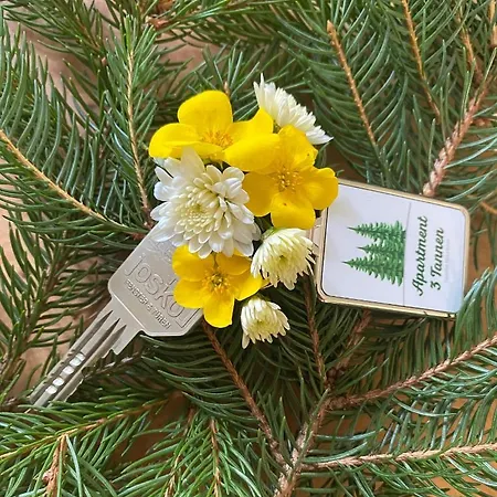 3 Tannen * Русбах-ам-Пас-Гшютт