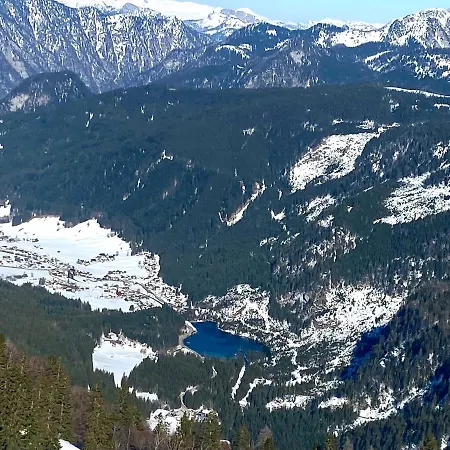 3 Tannen * Rußbach am Paß Gschütt