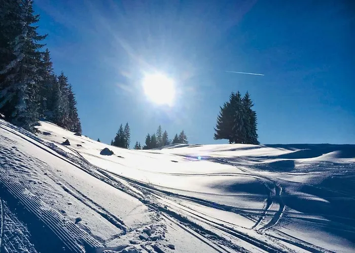 Lägenhet 3 Tannen Rußbach am Paß Gschütt