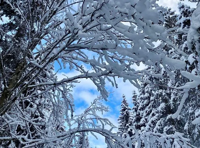 Apartamento 3 Tannen