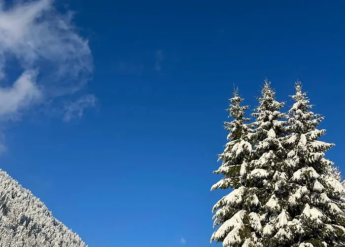 3 Tannen Apartamento *